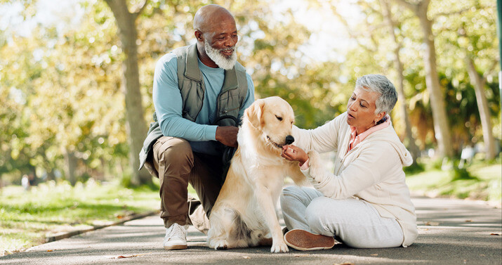 Senior couple with pet dog outside on a sunny walk